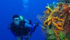 Гмуркане в дълбоки води