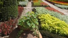 Връщат Ботаническата градина на Софийския университет