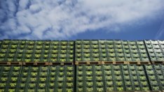 Carlsberg търси растеж в Азия след излизането си от руския пазар