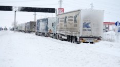 В България е нужна длъжност пътен одитор, твърди експерт