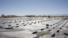 Защо Мъск е прав за проблема с лития?