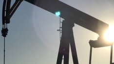 Кои компании ще пострадат от високи цени на петрола? 