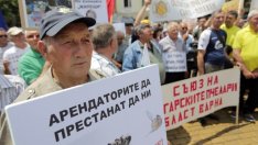 Пчелари протестираха заради законови ограничения за кошерите в населени места