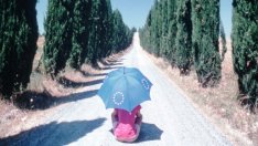 България и ползите от нейното членство в ЕС