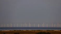 Европарламентът се обяви за по-бързо разгръщане на офшорната вятърна енергия