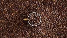 Вносителите на кафе в ЕС обръщат гръб на Африка заради регламента за обезлесяването