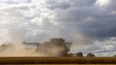 Една трета от украинския износ на зърно е унищожен след блокирането на Черно море