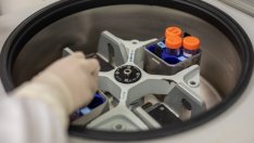 Китай потвърди, че е наредил унищожаването на ранни проби на Covid-19