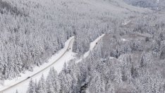 Европа ще изкара тази зима, но следващата може да е проблематична