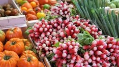 Биопроизводител: Не е в полза на земеделците 850 млн. лева да отиват в „Напоителни системи“