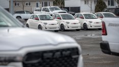 Stellantis е съкратила около 10 000 работни места в Италия през последните четири години