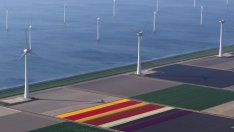 МАЕ: Ръстът на възобновяемата енергия се намира в застой