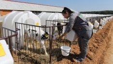 Какво е бъдещето на земеделието в Украйна?