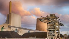 Панацея или измамна схема е складирането на въглерод?