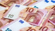 Ханке отново защитава "рожбата си" - валутния борд