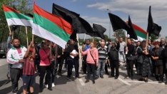 14,5 млн. лв. от бюджета отиват за борба с болестта нодуларен дерматит по животните