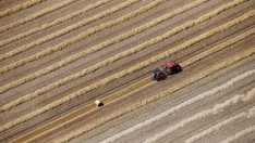 Над 713 млн. лева са платени по схемата за единица площ в земеделието през 2017 г.