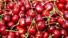 Фонд Земеделие съфинансира с 1,5 млн. лв. застраховането на агропродукция