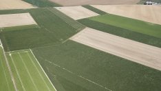 Фермерите продължават да търсят кредити за ниви и техника