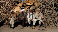 Талибаните са разговаряли със специалния представител на САЩ в Катар