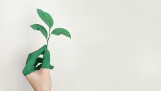 Милена Виденова, Axpo: Зелената трансформация е жизненоважна за ЕС