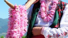 Розовото масло достигна рекорден таван в цените