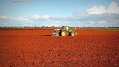 Кристофор Павлов: Селското стопанство е с най-голям потенциал в икономиката