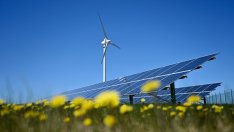 Зелената енергия ще измести въглищата през летния пик в САЩ