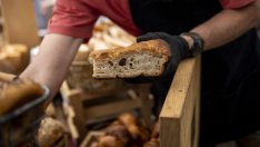 30% от компаниите в България планират да увеличат служителите си