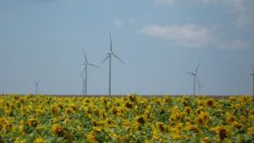 Забраната за земеделие и строителство в Добруджа засяга над 2500 имота