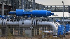 Германия одобри национализирането на закъсалата Uniper