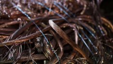 Светът е изправен пред медна криза