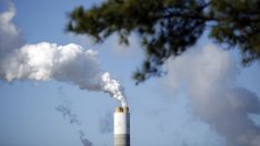 Преговорите за пазара на въглеродни емисии - ключов момент за COP26