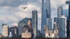 Защо работещите от вкъщи американци харчат повече за жилища и наеми?