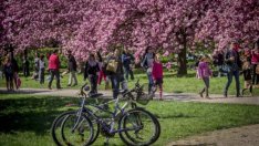 Бургас е областният град с най-голям ръст на населението през 2015 г.