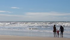 Ангелкова: Новата концепция за плажовете ще се обсъжда и с бизнеса