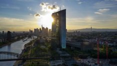 Девет банки от еврозоната са използвали капиталовите си буфери през 2020 г.