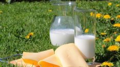 Млекопроизводител: 80% български млечни продукти в магазините биха свалили осезаемо цените