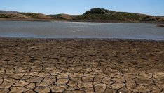 След COP27: Има надежда за климата, но при по-реалистична цел