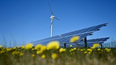 Зелената енергия става все по-достъпна, но и тя има своите недостатъци