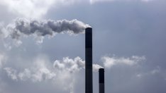 Американският бизнес призова ЕС да ревизира правилата за ESG