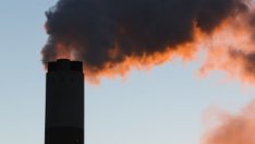 Производството на ток от въглища се очаква да достигне рекорд тази година