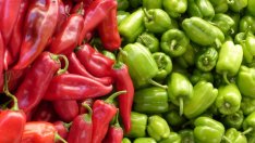 Проектите за инвестиции във фермите получават допълнително 15 млн. евро