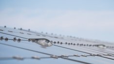 Ikea инвестира 340 млн. евро в соларни паркове в Германия и Испания