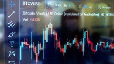 Биткойн пазарът бележи рекордна активност за първите осем месеца на годината