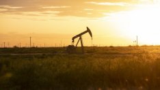 Цените на петрола продължават възхода си*