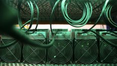 С малко помощ от Мъск криптовалутата шиба ину поскъпна с над 200% за седмица