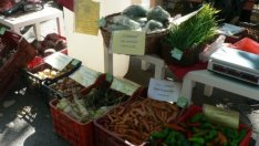 България настоява за изравняване на директните плащания за фермерите в ЕС