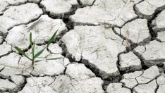 България се справя "слабо" с действията си по климатичните промени