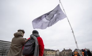 Големият брат продължава да гледа света през очите на стейбълкойните